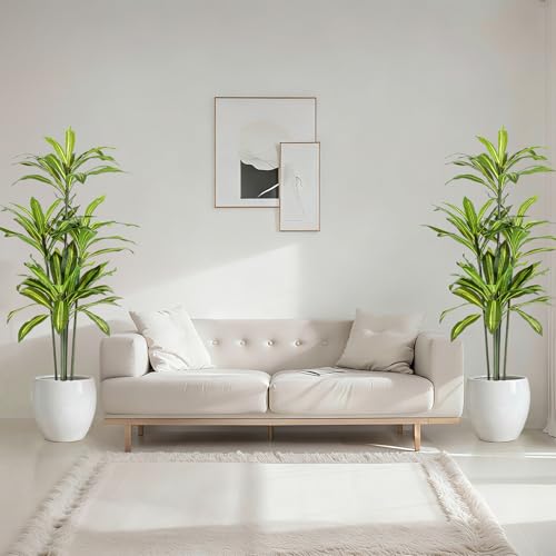 Giegxin 2 Pack 5 FT Artificial Dracaena Tree, Indoor Fake Tree with Black Stable Planter, Natural Wood Trunk & Lifelike Leaves Dracaena Plants for Home Living Room Porch Office Housewarming Gift - size: 5 ft