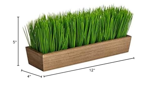 12in. Grass Artificial Plant in Decorative Planter
