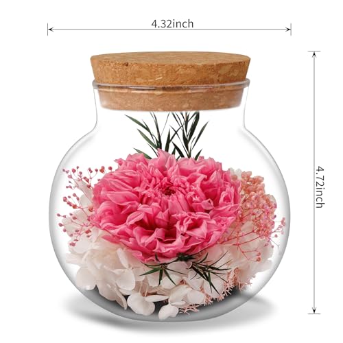 NATROSES Christmas Birthday Gifts for Women - Handmade Preserved Flowers Wish Bottle for Valentine's Day, Mother's Day, Anniversary, Home Decor (Pink) - color: Pink
