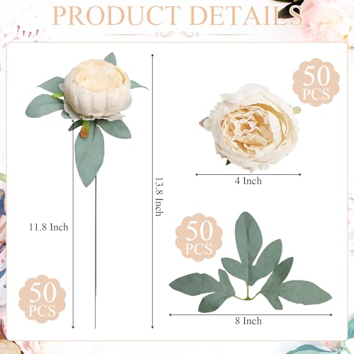 Artificial Peonies Flowers Bulk, 50Pcs 4’’ Champagne Peonies Faux Silk Peony Heads for Table, Fake Flowers Arrangements for Wedding, Valentine, Engagement, Party, Coffee, Dining Decorations - color: Champagne