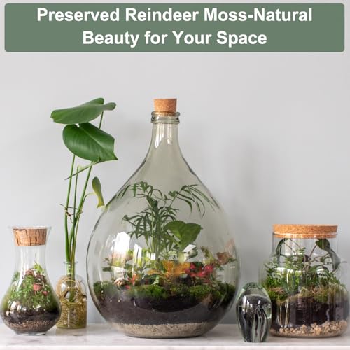 MECCANIXITY 4.6oz Preserved Reindeer Moss, Brown Decorative Artificial Fake Moss for Potted Plants Indoor Crafts Lichen Centerpieces Decor - color: Brown, size: 4.6oz