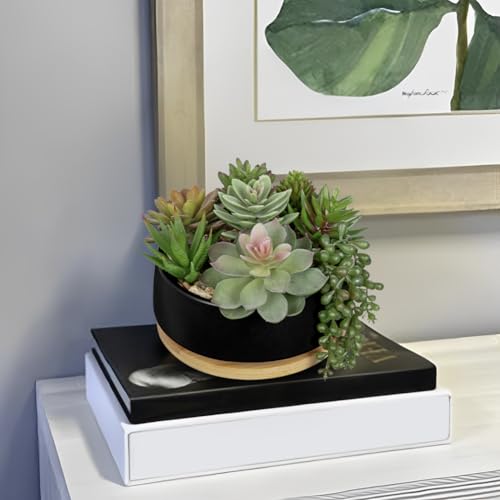 Artificial Succulent Plants in Pot 5.5 Inch Fake Succulents Arrangement Potted Plant in Black Ceramic Planter Bowl with Wood Saucer for Home Office Desk Shelf Living Room Bedroom Bathroom Decor - color: Black Ceramic With Saucer#style 2