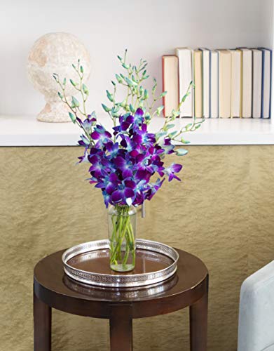 KaBloom - 10 Blue Dendrobium Orchis Direct Fresh without vase - Fresh Flowers for Birthday, Valentine's & Mother's Day - color: Blue Orchid, style: Without Vase