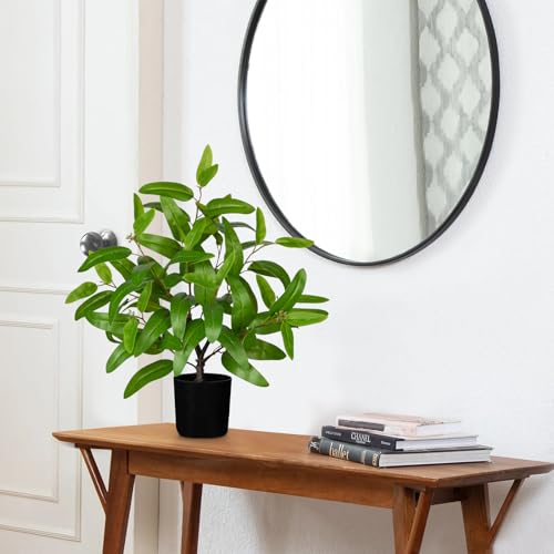 Artificial Plants Indoor with Pot, 19.7" Tall Fake Potted Plants Eucalyptus Leaves, Silk Plant for Home Decor Indoor Plants Artificial for Home & Office, Bedroom, Farmhouse, Entry Table, Shelf Decor - color: # Light Green