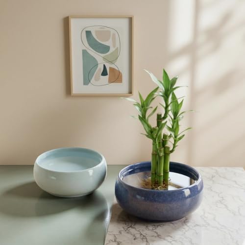 2 Pack Lotus Bowl Planter, Large 7.5'' & Small 6.5'' Shallow Ceramic Water Planting Pot, Drainage-Free Hydroponic Bowl for Lotus Seeds, Ikebana, Succulents & Water Lilies (Sky&Star Series) - color: Sky & Star Series