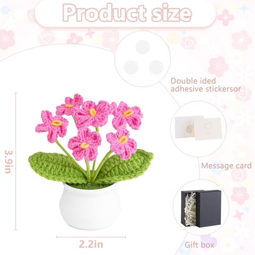 LAIDANLA Pink Crochet Flowers Forget Me Not, Mini Handmade Flower Potted Plants for Desk Accessories, Graduation Appreciation Anniversary Birthday Gifts for Women Mom Teacher Coworker Friend - color: Dark Pink