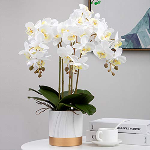 FagusHome 32" Artificial Phalaenopsis Flowers 6 Pcs with 4 Bundles Leaves Artificial Orchid Flowers Stem Plants for Home Décor (6Pcs) - color: White+green