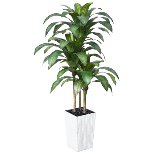 VeriNatural 5FT Artificial Dracaena Tree - UV Resistant Faux Tropical Plant, Potted Fake Tree with Taper Planter & Pebbles - Indoor Outdoor Greenery for Home, Porch, Living Room, Bedroom Decor, VN127 - color: White, size: 5ft