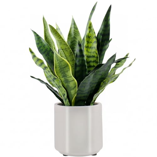 Fake Snake Plant 22" Tall, Realistic Touch Leaves, Potted Artificial Plants Indoor for Home Decor Small Office Home Living Room - size: 22 Inch Snake