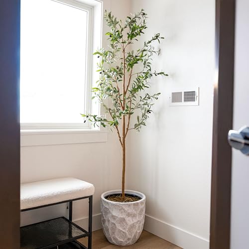 Sunnydaze Fake Olive Tree - 6ft Tall Faux Olive Tree with Pot - Indoor Artificial Plant with Black Weighted Base and Silk Leaves - Set of 2 - size: 6 ft