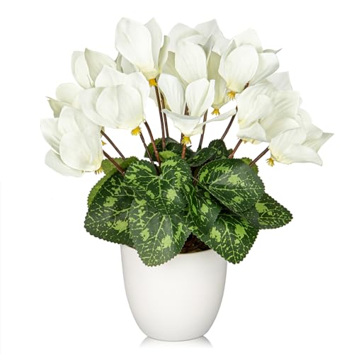 Hollyone Artificial Cyclamen Flowers Plant Potted Fake Silk Flower Plants in White Pot Faux White Cyclamen Flowers Arrangement Home Decor Office Bathroom Shelf Desk Decorations - color: White, size: Cyclamen Flowers