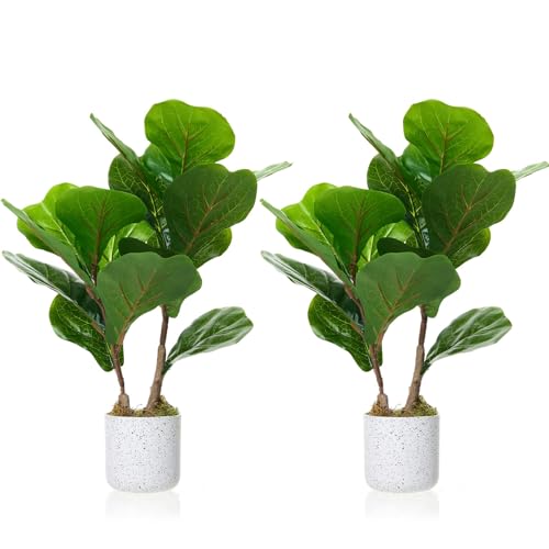 Artificial Fiddle Leaf Fig Tree in Pot 2 Sets, 15.7" Faux Ficus Lyrata Plant Green Bonsai in White Planter, Indoor Decorative Fake Tree for Home Office Desk Living Room, Modern Room Decor - size: 15.7 inches