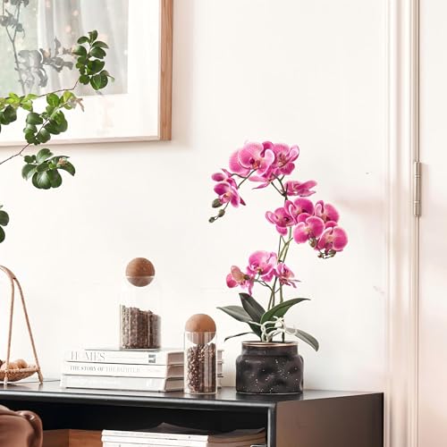 Avoeco Artificial Real Touch Orchid Plant – 20″ Faux Phalaenopsis in Pot – Highly Realistic Silk Orchid Flower & Leaf Texture for Home, Office,Shop & Wedding Décor (Fuchsia, 20”) - color: Fuchsia, size: 20”