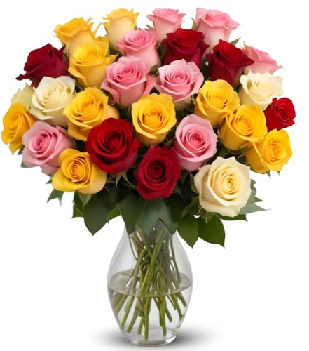 25 Rainbow Roses Assorted Color | Arabella Bouquets | Real Fresh Flowers for Delivery, Gift for Birthday, Women, Congratulations, Anniversary, Thank You, Mother's Day - color: Assorted, size: 25 Stems