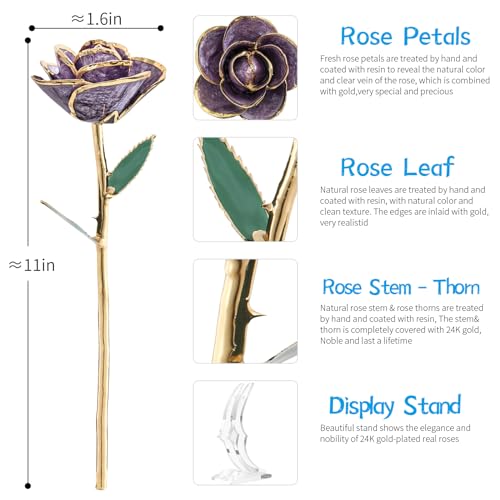 SW 24k Gold Dipped Real Rose Lasted Forever with Stand Gift for Women, Mom, Her, Christmas, Valentines Day, Mothers Day, Birthday - Purple Gold Rose - color: Blue