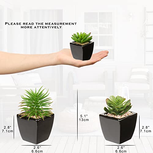 Hollyone Small Succulents Artificial 3 Pcs Faux Succulents in Pots Fake Succulent Plants with Black Ceramic Pots for Modern Home Office Desk Bathroom Shelf Living Room Decor - color: 3pack - Black Ceramic