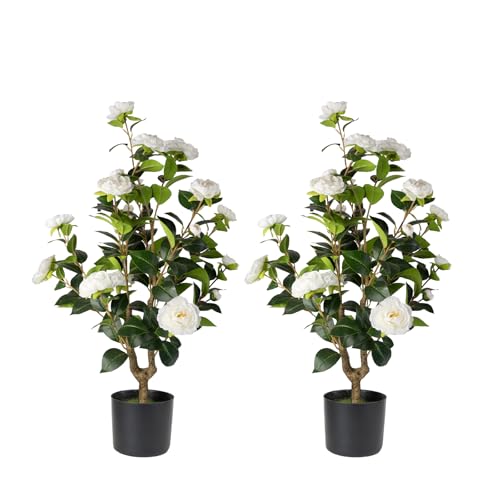 Artificial Camellia Tree 2 Pack - Realistic Camellia Plants in Pot with White Flowers, Lifelike Faux Greenery for Living Room, Patio, or Wedding, White - color: White