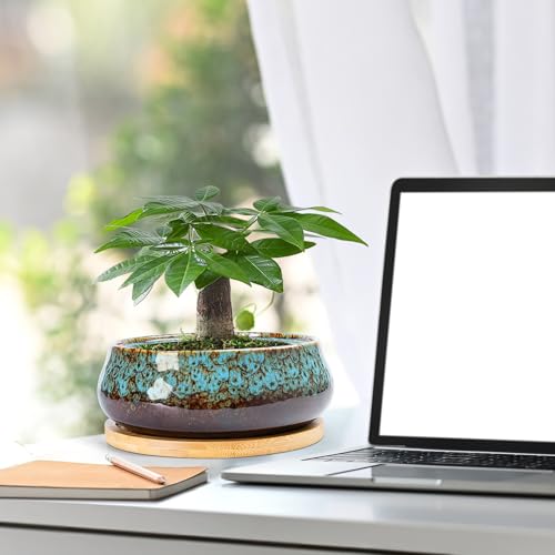 ARTKETTY Succulent Pots - 8 Inch Plant Pot, Large Bonsai Pots with Drainage Tray, Ceramic Planters for Indoor Outdoor Plants, Round Shallow Cactus Flower Plant Container Bowl Decorative Home Garden - color: Blue