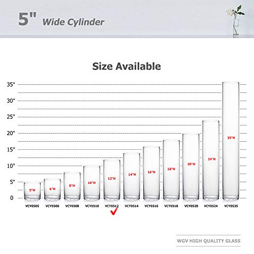 WGV Quality Thick Cylinder Vase, Diameter 5", Height 12", Clear Glass Floral Planter Container, Tall Centerpiece Arrangement for Wedding Home Decor, 1 Piece - size: 5"x12"H CL