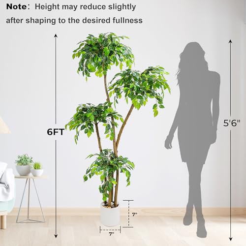 6FT Artificial Ficus Tree with White Planter and Pebbles,Faux Silk Tree with Lifelike Leaves and Realistic Trunk,Tall Fake Potted Plant for Home and Office Décor Indoor and Outdoor (6FT) - size: 6ft