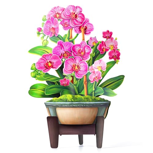 Airpark Pop Up Flower Bouquet Card for Women, 3D Floral Greeting Card with Envelope and Note, Birthday Thank You Thinking of You Get Well Gift for Mom Friend Wife Teacher, Orchid - style: Orchids