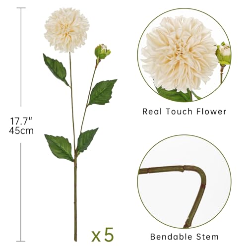 Hollyone Cream White Dahlia Artificial Flowers 5Pcs Fake Dahlia Flowers for Decoration Silk Flower with Long Stem 17" Floral Arrangements Bouquets Indoors Outdoors Faux Dahlias Centerpieces Home Decor - color: Cream