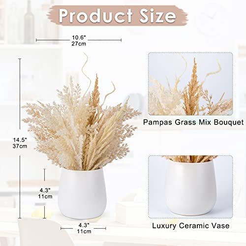 Hollyone Faux Pampas Grass with Vase, Artificial Pampas Grass Flowers Bouquet Plant Fluffy Boho Home Decor Fake Pompass Pompous Grass Floral Arrangement for Wedding Party Table Room Decorations Taupe - color: Brown