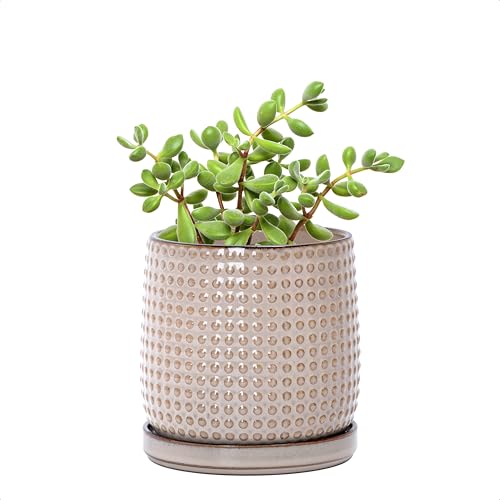 D'vine Dev 4 Inch Ceramic Beaded Stoneware Planter Pot - Flower Pot with Drainage Holes and Saucers for Indoor Succulent Plants or Flowers, Light Brown, 27-C-Z-4 - color: Light Brown, size: 4.3 Inch