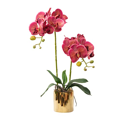 Artificial Orchid Flowers Fuchsia Faux Orchids with Ceramic Vase Vivid Fake Phalaenopsis Flower Arrangement Gorgeous Artificial Plants for Office Desk Wedding Party Exhibition Center&Home Table Decor - color: Fuchsia-golden