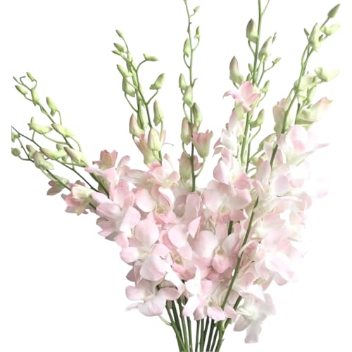 20 pink orchids fresh cut flowers gift birthday anniversary Valentine's Day flowers Dendrobium