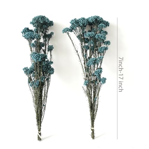 Natural Preserved Millet Flowers Dried Bouquet Flowers and Plants Arrangements for Home and Wedding Decoration (Ocean Blue) - color: Ocean Blue