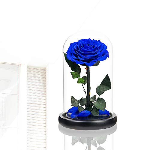 Preserved Roses Handmade Rose in Glass Dome, Preserved Flowers Never Withered Romantic Gifts for Her, Mother's Day, Birthday Gifts for Women (9 inch, Blue) - color: Royal Blue, size: Large