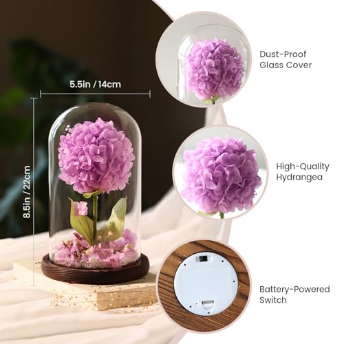 Forever Hydrangeas in Glass Dome,Forever Preserved Flowers Gifts Mothers Day Birthday for Grandma Women Mom Wife,Fresh Flowers for Delivery/Purple Hydrangea - color: Purple