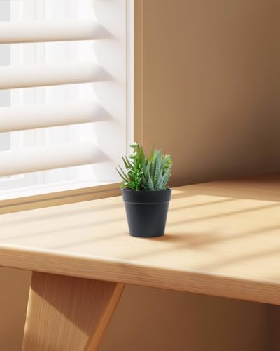 Faux Assorted Succulents - Artificial Succulent Plants for Desk, Bathroom, Shelf, or Home Decor, Realistic Greenery for Farmhouse, Office & Kitchen Decoration PA-017 - size: PA-017