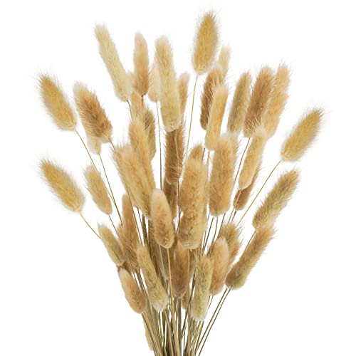 Uieke 17'' Natural Bunny Tails Dried Flowers, 120 Pcs Dried Lagurus Ovatus, Dried Brown Pampas Grass Decor for Farmhouse Flower Arrangements Wedding Home Boho Party Decorations - color: Brown-120pcs