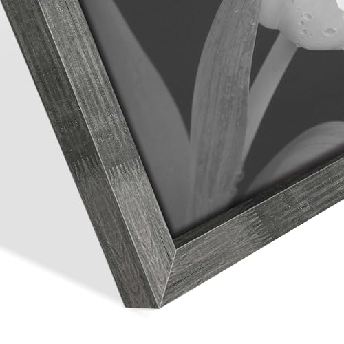 Black and White Tulip Wall Art - 3 Piece Framed Floral Pictures for Bedroom Bathroom Decor 12"x12"x3panels - color: Black and white picture, size: 12'' x 12'' x 3 Panels