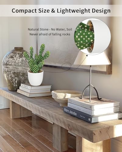 Artificial Cactus Plants 9.8 inch Small Faux Cactus Plants Indoor Fake Desert Cacti Succulents Plants Artificial Plant Indoor with Pot Cactus Decorations for Home Decor Office Desk Tabletop Shelf - size: SUP_210