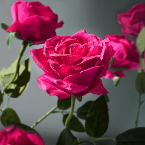 Waipfaru 16 Pcs Fuchsia Roses, Long Stem Fake Roses Artificial Flowers, Silk Flowers Bouquet for Valentines Mothers Day Hotpink Home Decor (Fuchsia) - color: Fuchsia, size: 16 Pcs