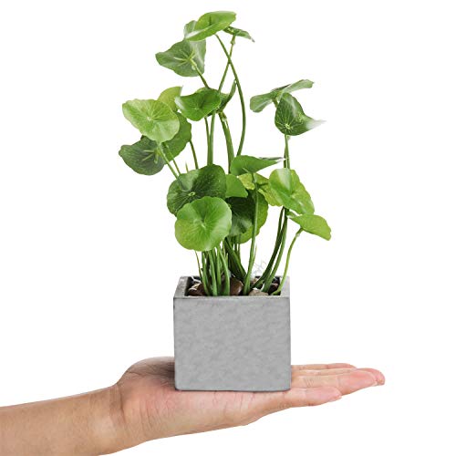 MyGift Artificial Plants Indoor, Set of 3 Small Fake Potted Plants, Faux House Plant for Home Decor - color: Grey