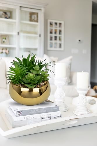 Hollyone Succulents Plants Artificial in Pots Fake Succulents for Outdoors Indoor Faux Succulent Arrangement Potted Plant in Gold Ceramics Planter Bowl for Garden Office Desk Living Room Home Decor - color: Gold