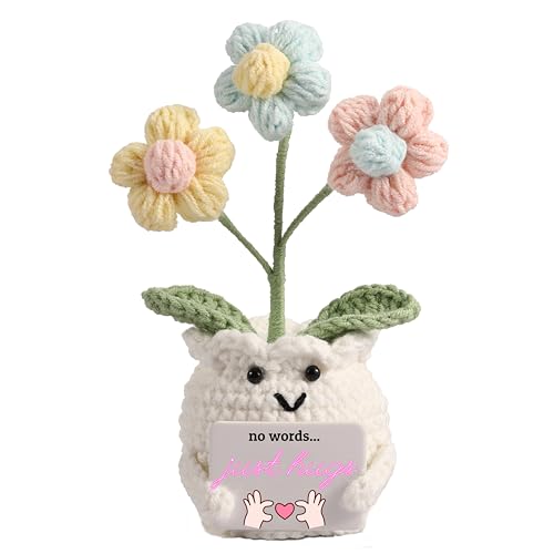 Crochet Sympathy Gifts for Loss of Loved One – No Words, Just Hugs Crochet Puff Flower Plant– Bereavement, Memorial, Get Well Soon, Grief Gift Idea for Loss of Grandpa Grandma Mom Dad - color: E-no Words, Just Hugs