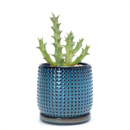 D'vine Dev 4 Inch Ceramic Beaded Stoneware Planter Pot - Flower Pot with Drainage Holes and Saucers for Indoor Succulent Plants or Flowers, Ocean Teal, 27-C-Z-8 - color: Ocean Teal, size: 4.3 Inch