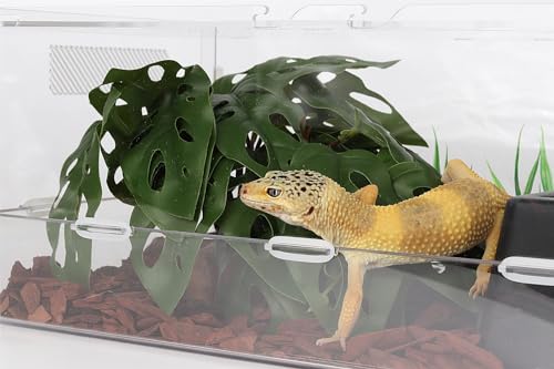 Reptile Plants for Terrarium, Ball Python Tank Decor Accessories fit Bearded Dragon Crested Leopard Gecko Lizard Chameleon Snake Frog Tortoise Hermit Crab - Fake Swiss Cheese Plants - color: B-fake Swiss Cheese Plants