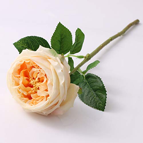 WILD WORKS Artificial Austin Roses, 4 Pcs Real Touch Fake Flowers with Moist Fabric Petals, 17.7 Inch for Mother's Day Wedding Home Decor (Champagne) - color: Champagne 4pcs