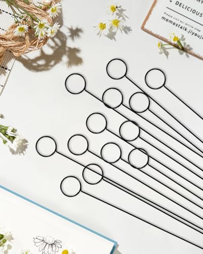 Avsty 30Pcs Floral Card Holder Picks-Wire Place Card Holder for Wedding-Metal Photo Picture Clip Holder-Table Name Number Holder,Memo Note Holder for Flower Arrangement,Wedding,Party(Black, Round) - color: Black, size: Round