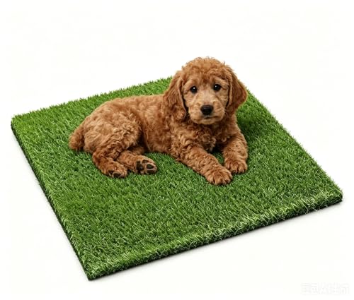 Artificial Grass, Professional Dog Grass Mat, Potty Training Rug and Replacement Turf Outdoor Rug Patio Lawn Decoration, Easy to Clean with Drainage (26x30 inch) - size: 26x30 inch