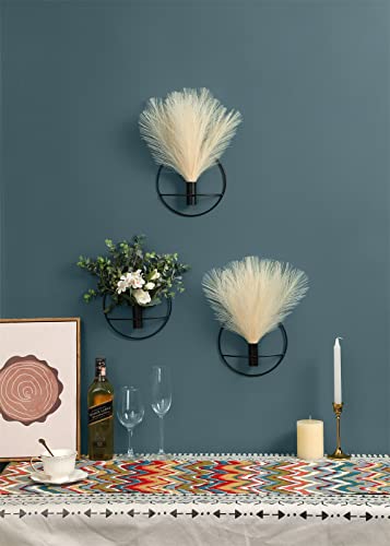 Pretty Jolly Boho Wall Decor - Hanging Artificial Pampas Display for Living Room, Bedroom, Bathroom, Dining Room - Wall-Mounted Metal Art Plant Decor, 2 Pack Black - color: 04-pampas-beige - Black Ring, size: S 7.8inch (Black Ring)