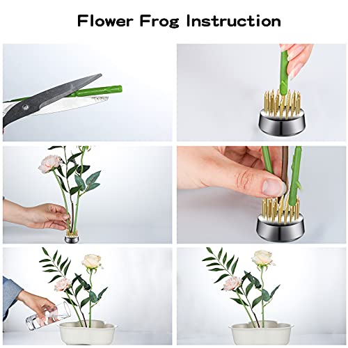 Geiserailie 12 Pcs 23mm/0. 92 Inch Stainless Flower Frog Mini Round Metal Floral Frog Japanese Ikebana Fixed Pin Holder Tool Arrangement Floral Fixation for DIY Flower Craft Arrangements(Gold) - color: Gold