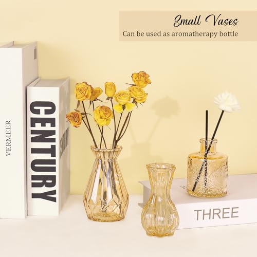 36Pcs Bud Vases Set Small Vintage Glass Bottles Bud Vases in Bulk Multiple Shape Cute Glass Vases for Rustic Wedding Centerpieces Table Decorations and Home Decor (Champagne) - color: Champagne