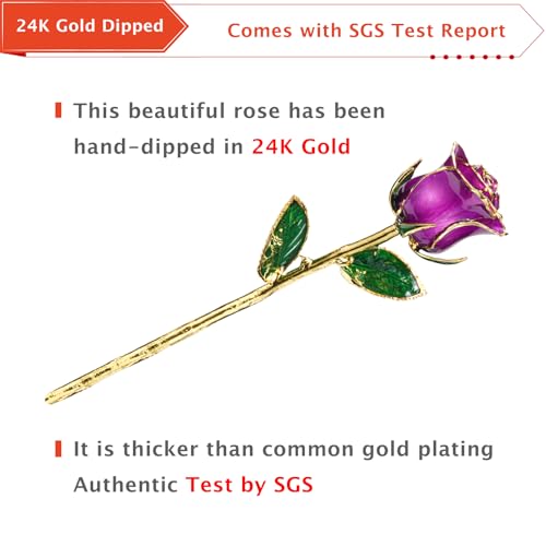 AliveRose Gold Roses, 24K Gold Rose Made from Real Rose - Unique Design 24K Dipped Rose for Anniversary Valentines Mothers Day Birthday Gifts (Purple Original Rose with Crystal Vase) - color: 4. Purple Original Rose With Crystal Vase